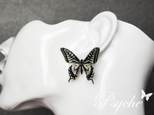 ナミアゲハ 蝶の標本ピアス（片耳）